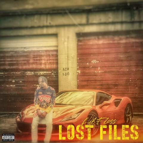 Lost Files