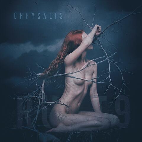 Chrysalis