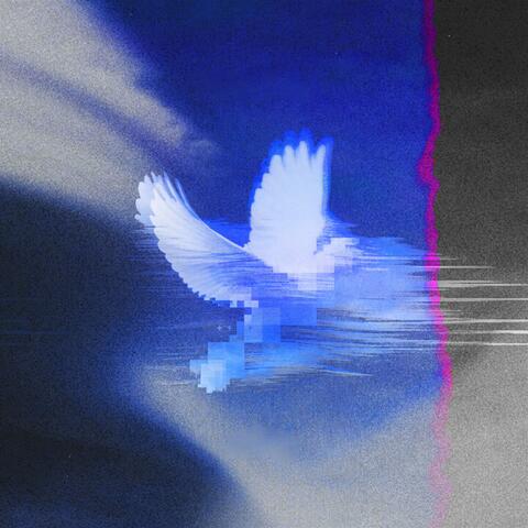 Lucid Dreaming