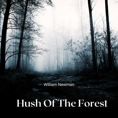 Hush Of The Forest