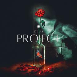 Project