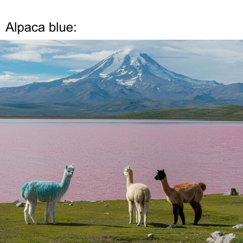 Alpaca blue