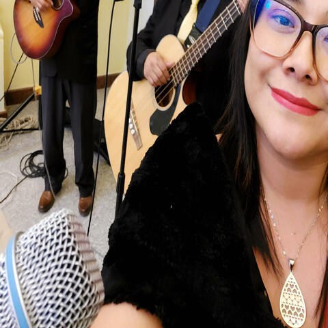 Tan tan van por el desierto en vivo