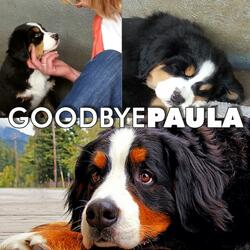 Goodbye Paula