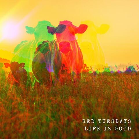 Life Is Good