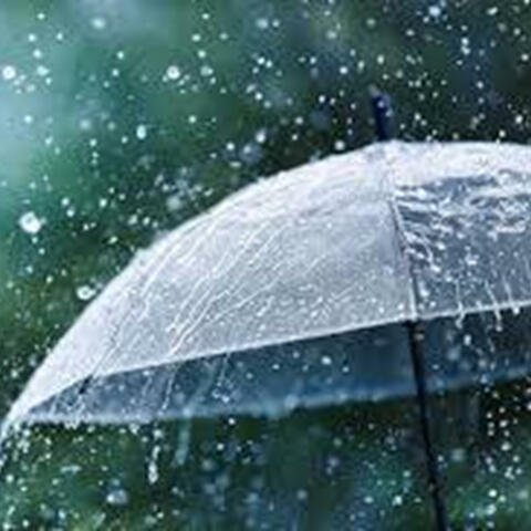 The Rain In Spain