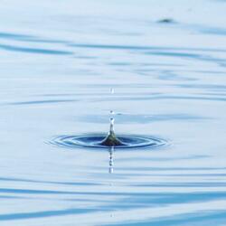 Trail of Tears (Country Version)