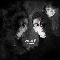 Not Like U (feat. Levi Noah)