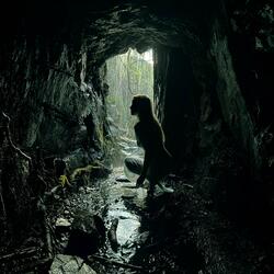 Wand'l ich in dem Wald des Abends (feat. Fanny Mendelssohn)