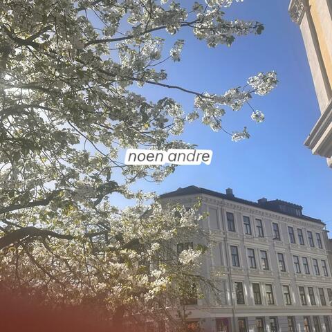 noen andre
