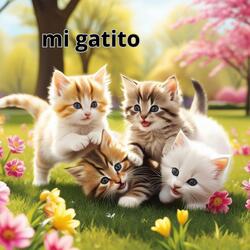 Mi Gatito