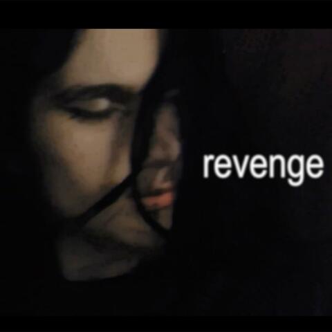 revenge.dsr