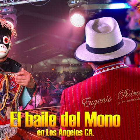 El Baile Del Mono En LA
