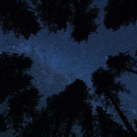 A Message from the Stars (Edits)