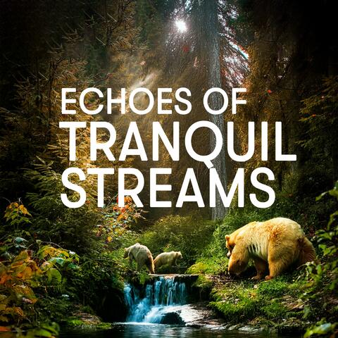 Echoes of Tranquil Stream
