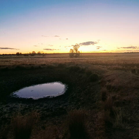 The Dry Dam