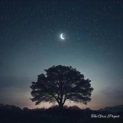 Ночь (Night)