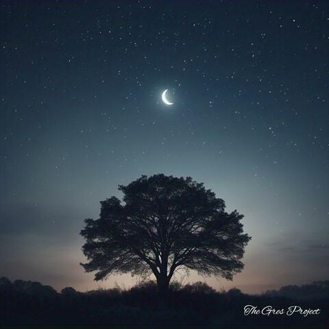 Ночь (Night)
