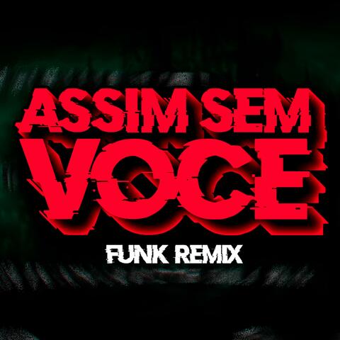 AVIÃO SEM ASA (FUNK REMIX)