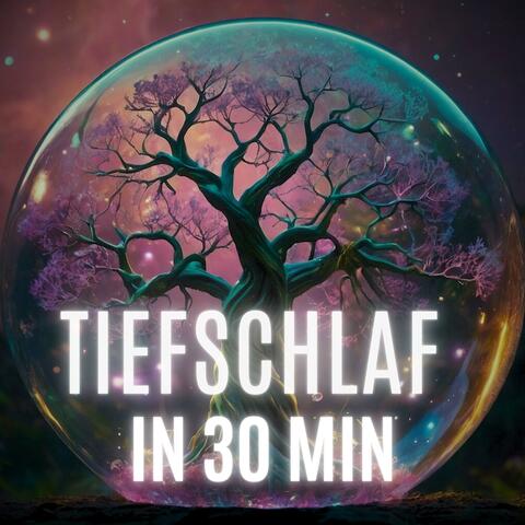 Tiefschlaf in 30 Minuten (Im Zauberwald)