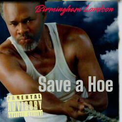 SAVE A HOE!!