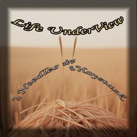 2 Needles in a Haystack