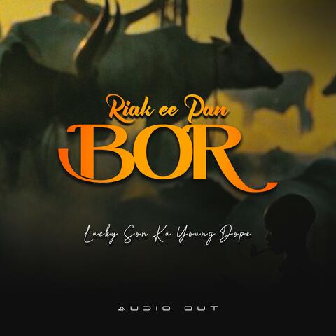 Riak e pan bor