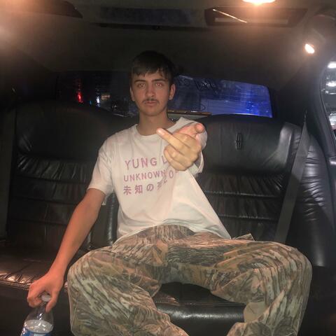 untitled_archive_2019-2024.zip