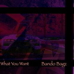 What You Want