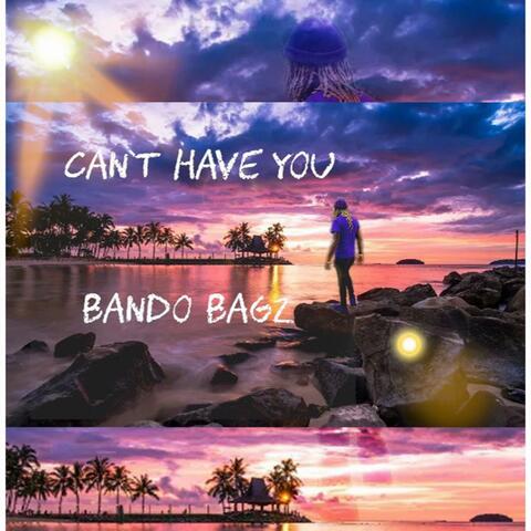 Can't Have You