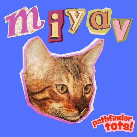 Minik Sokak Kedisi