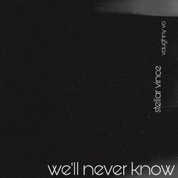 we'll never know (feat. Vaughny Vo)