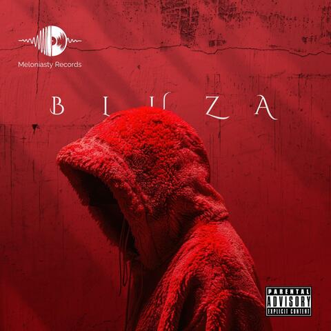 bluza