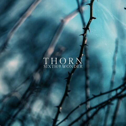 Thorn