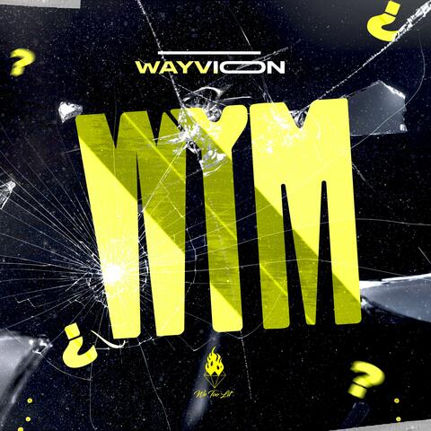 W.Y.M? (What You Mean?)