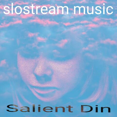 Salient Din