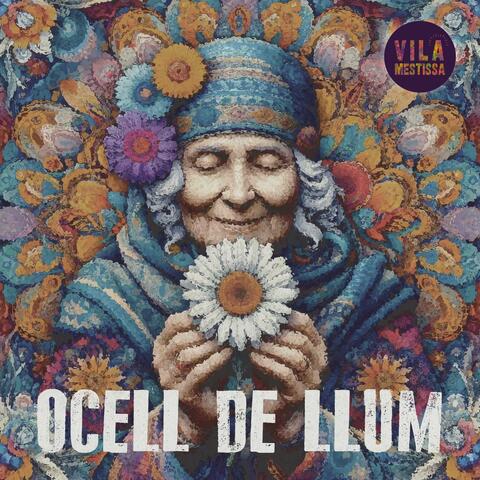 Ocell de Llum