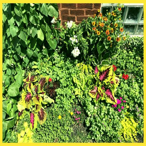 The Art of Gardening (Remember your Light)