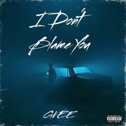 I Don't Blame You