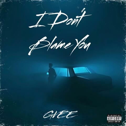 I Don't Blame You