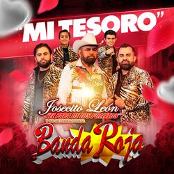 Mi Tesoro