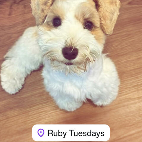 Ruby Tuesday