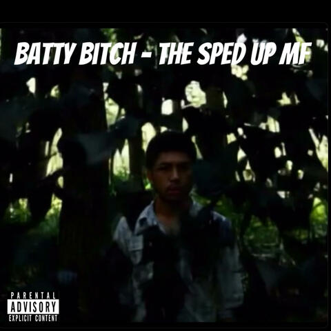 Batty Bitch (The Sped Up Mf)