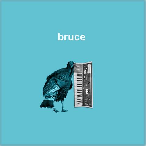 bruce