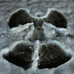 Bodybags & Sprinters