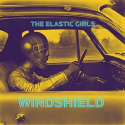 Windshield