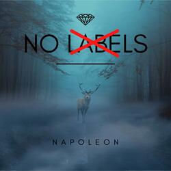 No Labels