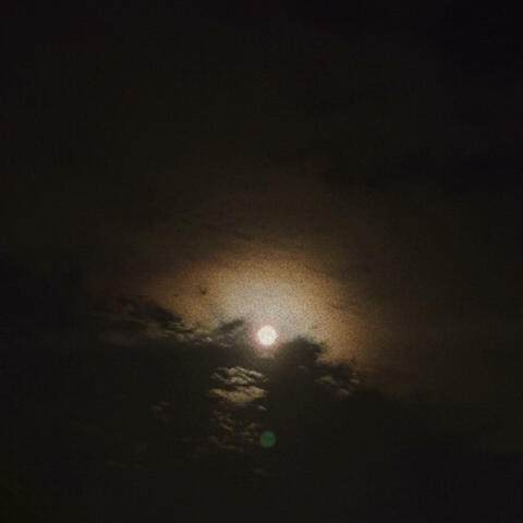 take the blame (2002)