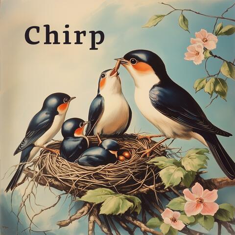 Chirp
