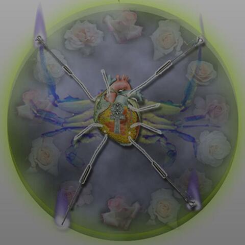 Schizo vs Sex Appeal